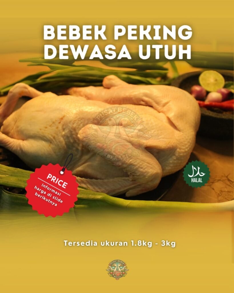 WhatsApp-Image-2025-03-19-at-10.53.45-819x1024 Bebek Peking vs. Bebek Lokal: Mana yang Lebih Enak?