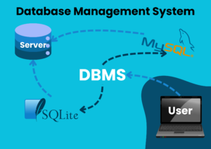 DBMS-Blog-300x212 Tools yang Wajib Kamu Siapkan untuk Menjalankan Project Laravel