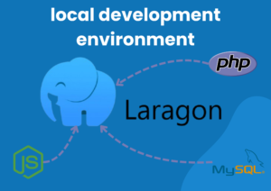 Laragon-300x212 Tools yang Wajib Kamu Siapkan untuk Menjalankan Project Laravel